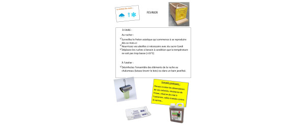 Apiculteurs, que faire en février